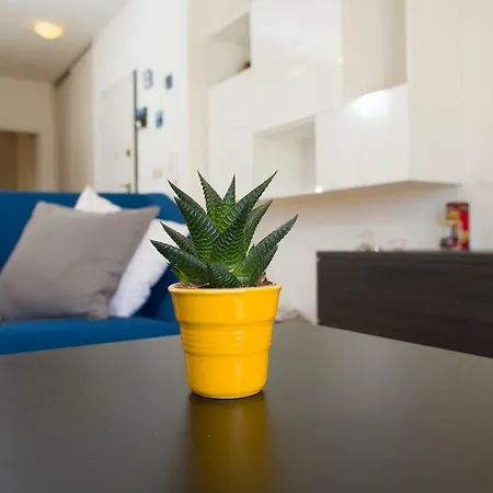 Apartment Top Place To In *